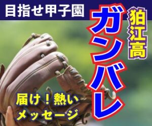 「OB･OGから現役野球部へのメッセージ」ページバナー